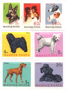 hungary-breed-stamp-2.jpg